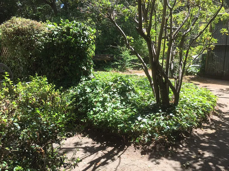 872 Coleman Ave — Photo 9