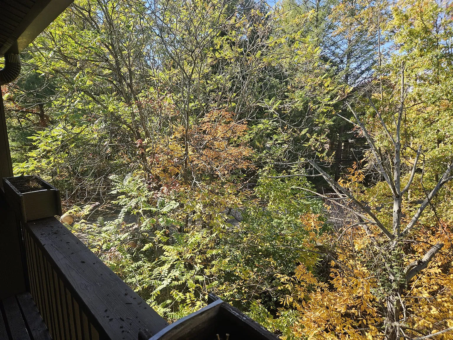 1 bed, 650 sqft, $1,100 — Photo 4