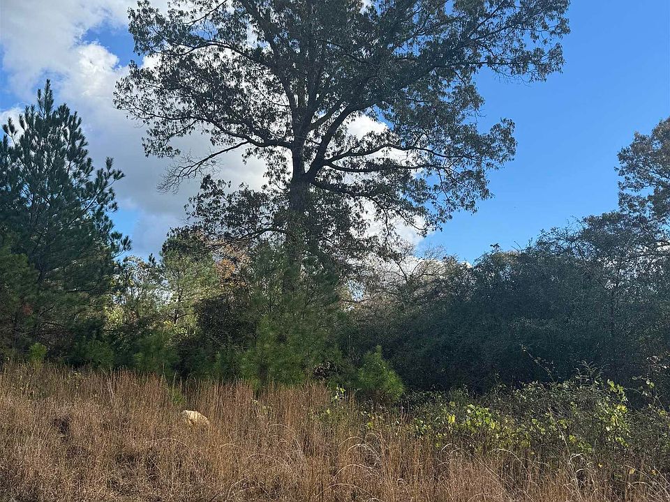 2nd image of 1431 Mardisville Rd #0