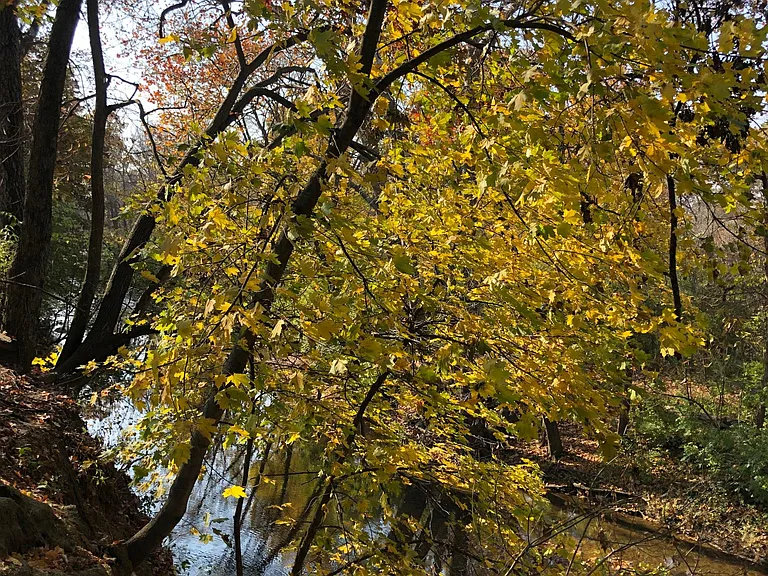 Rocky Fork Dr — Photo 8