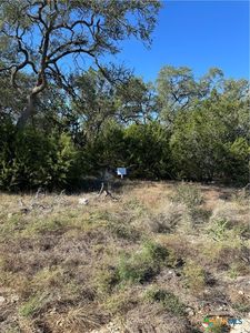1215 Powder Ridge Rd, New Braunfels, TX, 78132
