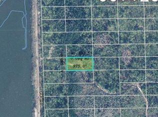Dill Rd LOT 460, Orlando, FL 32820