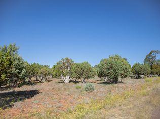 2339 Voyager Cir, Overgaard, AZ 85933