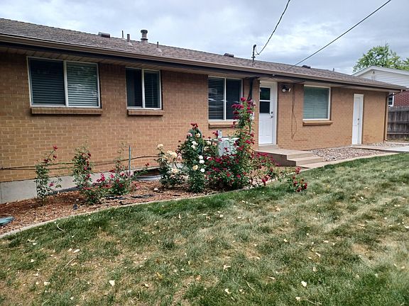 A rose garden on back side of house