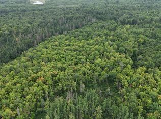 E Engine Hill Rd, Danbury, WI 54830