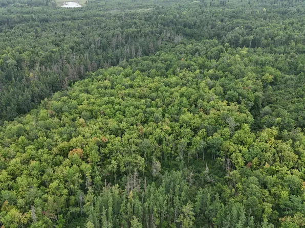 E Engine Hill Rd, Danbury, WI 54830