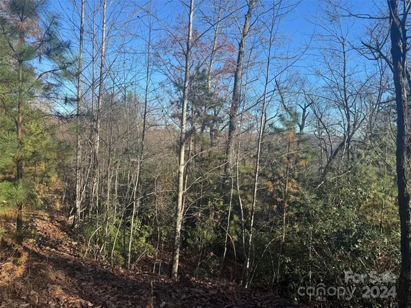 14 Springhouse Trl, Brevard, NC 28712