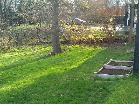 Back Yard in Spring
