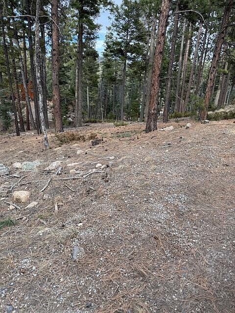 1st image of 0 Turkey Trl