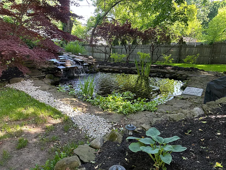 Koi pond in backyard