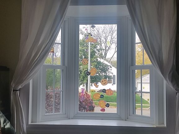 Bay Window