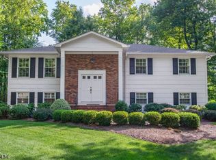 20 Springhill Rd, Randolph, NJ 07869