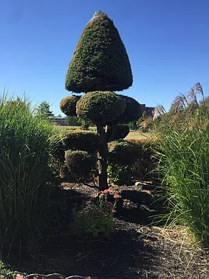 Rented by Corcoran | media 44