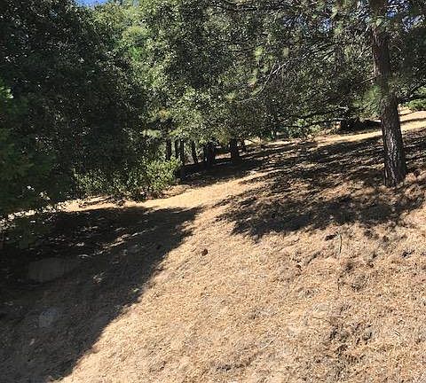 5th image of 480 Wylerhorn Dr