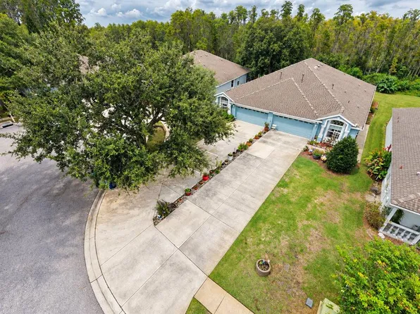 19339 EVERTON PLACE, LAND O LAKES, FL 34638