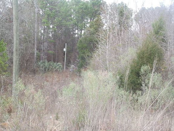 5th image of 1190 County Road 208