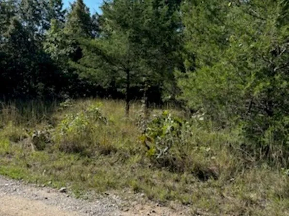 0 Off Fm 101 Road Off, Hardy, AR 72542