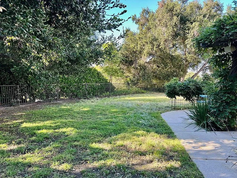 393 Rudolph Dr — Photo 3