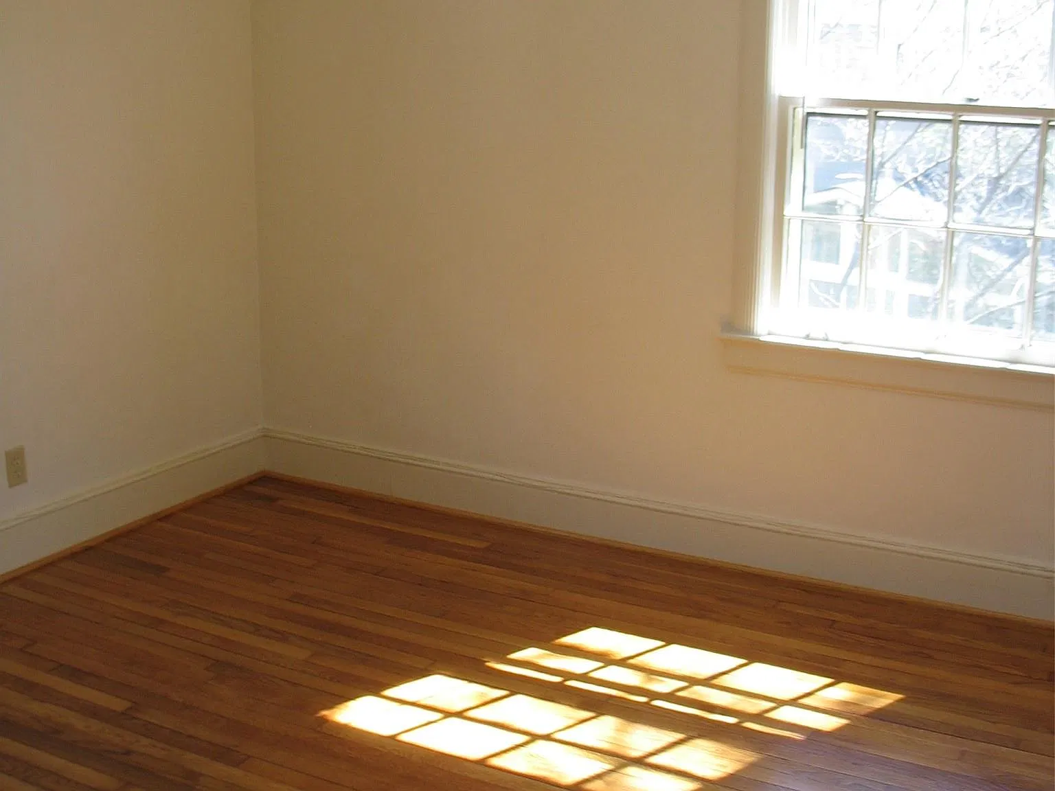 2 bed, 1.0 bath, 950 sqft, $1,695 — Photo 4