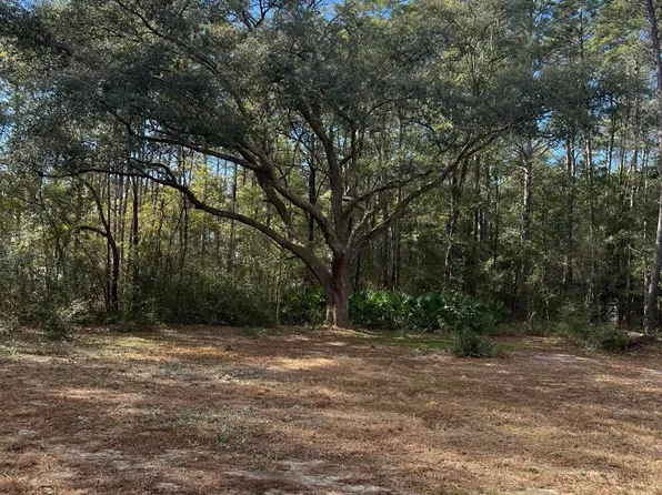 0 Orchid Ln, Freeport, FL 32439