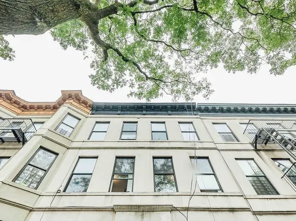 411 Chauncey Street image 17 of 17