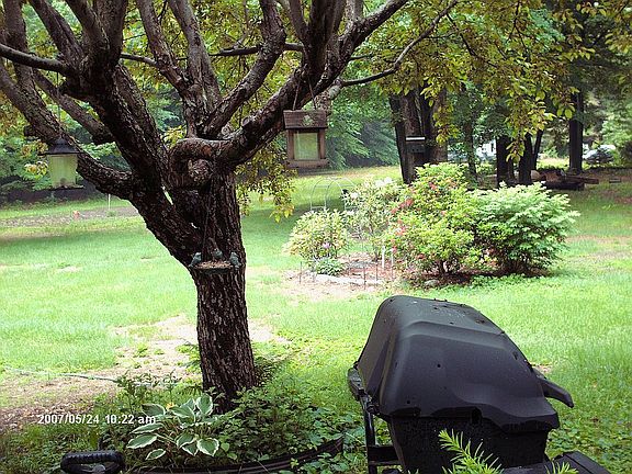 GREEN GRASS, PRETTY 2.10 AC