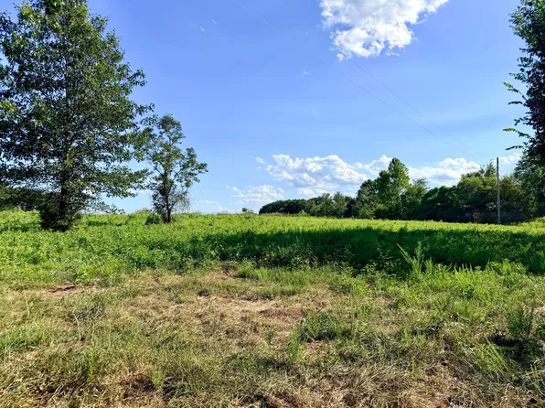 379 Fabuzi Lane, Galena, MO 65656