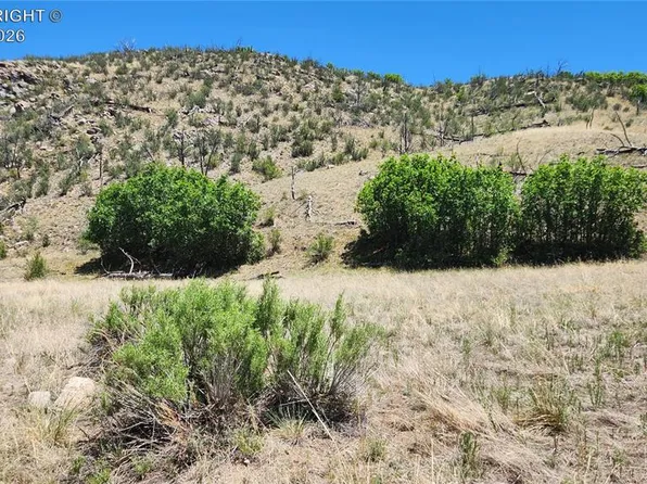 L 35th Trl, Cotopaxi, CO 81223