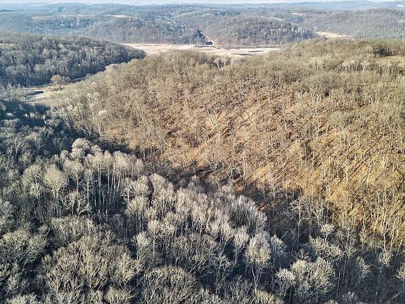 5th image of 271.18 acres Zwettler/Foster Road #N/A