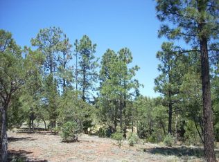 2877 Chandelle Ln, Overgaard, AZ 85933