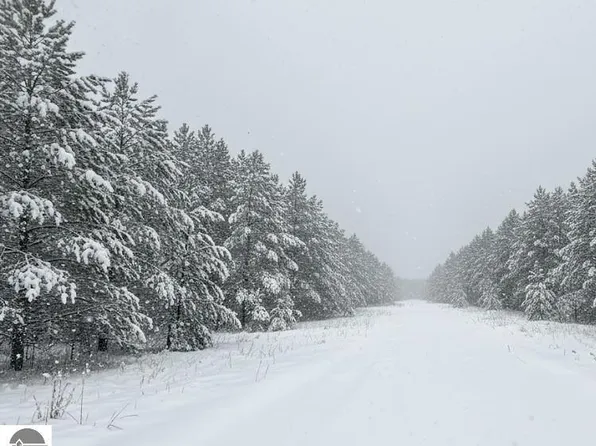 PARCEL 2nd St #F, Buckley, MI 49620