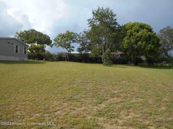 15993 Brookridge Blvd, Brooksville, FL 34613