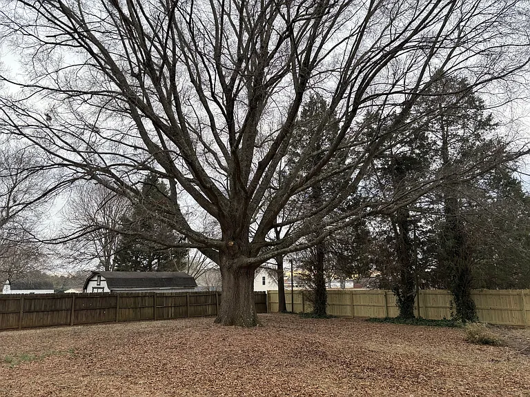 924 Chalet Dr — Photo 12