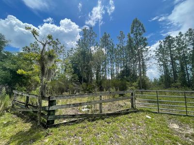 10450 NE 50th Street, Bronson, FL, 32621