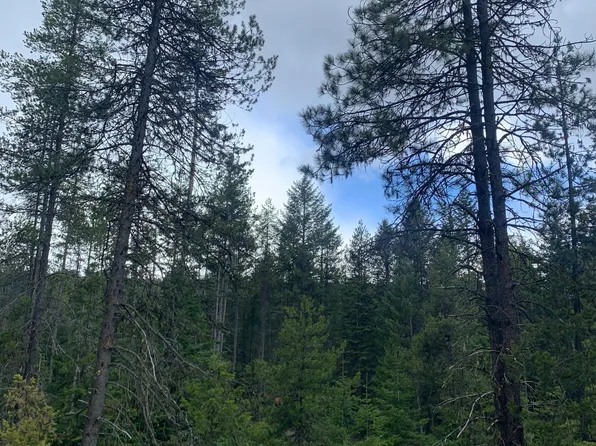 27XX Clark Lake Rd, Addy, WA 99101