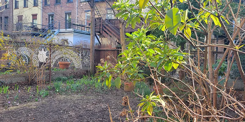 Rented by Brooklyn Properties | media 34