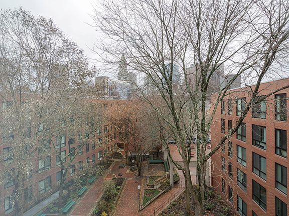 Window View