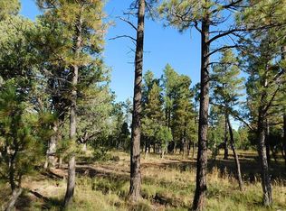 2904 Sparrow Dr, Happy Jack, AZ 86024