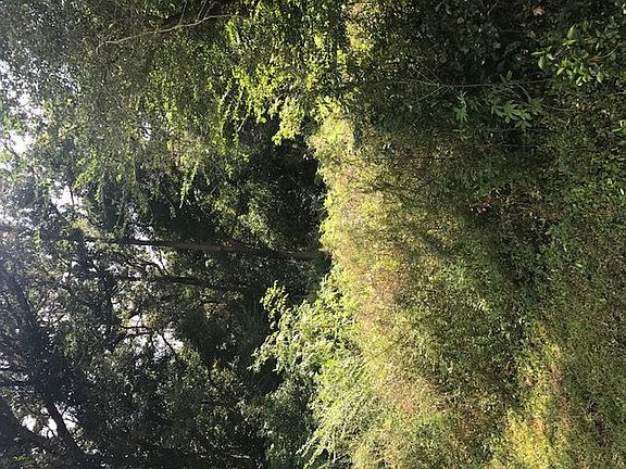 3rd image of 25568-A County Road 71