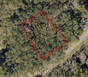 Fisher Lane Ct Lot 17, Ocklawaha, FL, 32179