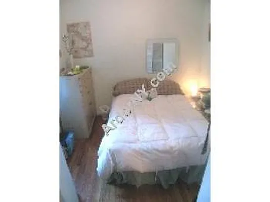 Rented by DSA Realty | media 38