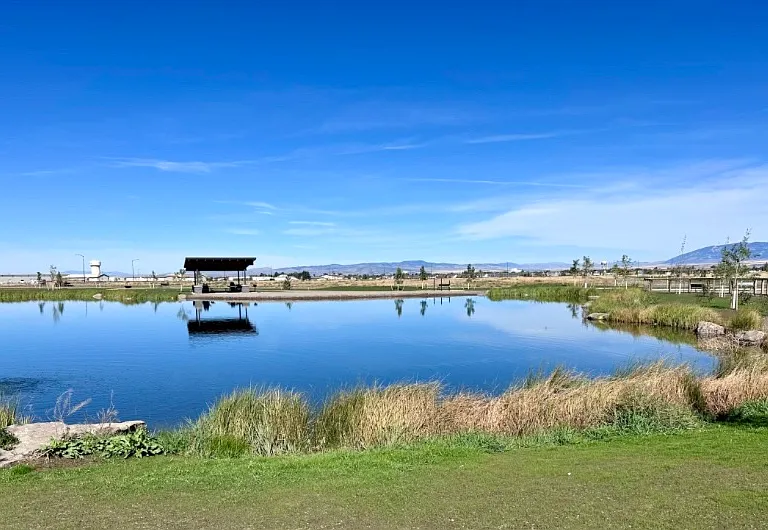 Community fishing pond