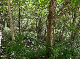 10 Alpenglow Ridge Dr, Davis, WV 26260