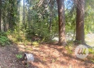 0 Entiat River Road, Entiat, WA, 98822