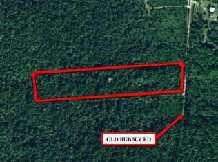 730 Old Bubbly Rd, Pierson, FL 32180