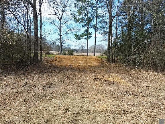 3rd image of TRACT 1 Louisiana Ave #A