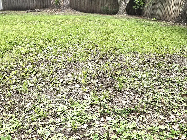 615 Luna Ct — Photo 21