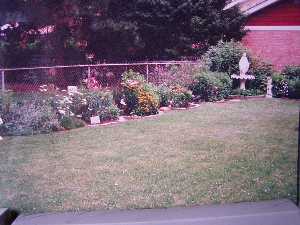 Fenced yard