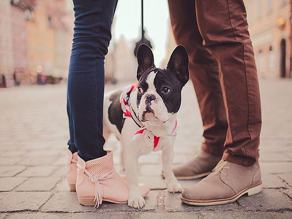 Pets are part of our Family.