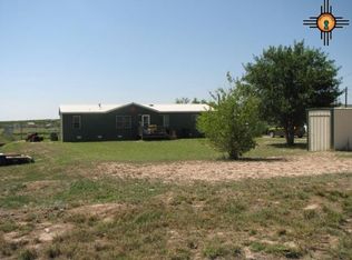 4501 King Rd, Carlsbad, NM 88220